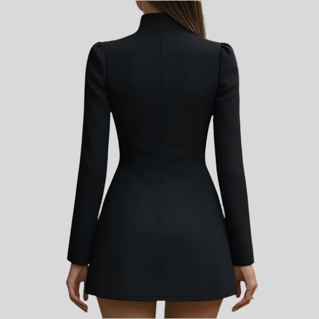 Long Sleeve Mini Dress - Fashivon