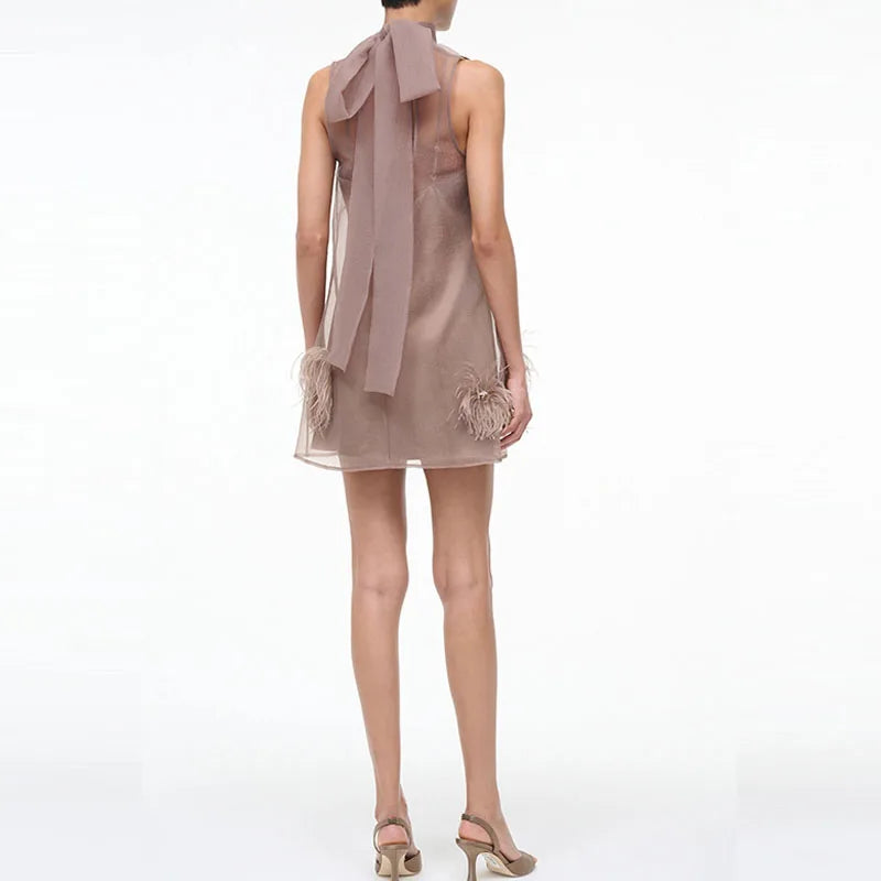 Brown Mini Dress - Fashivon