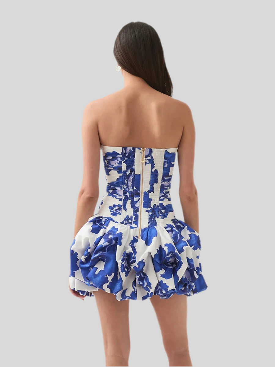 Mini Dress for Womenblue print Dresses Female