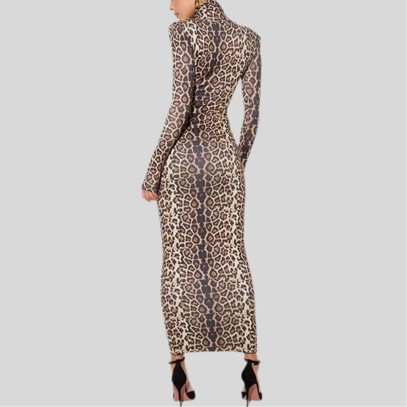 Leopard Long Dress
