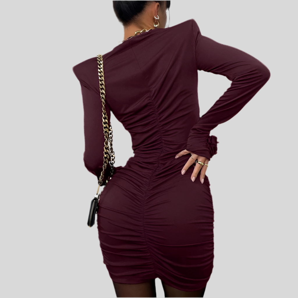Wine Red Long Sleeve Mini Dress