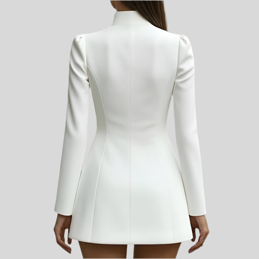 Long Sleeve Mini Dress