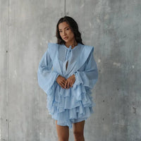 Loose Mini Dress with Long Sleeve - Fashivon
